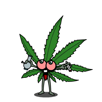 🍃