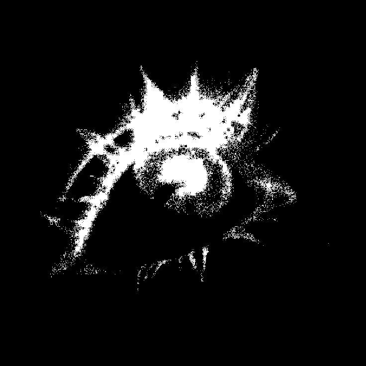Eye
